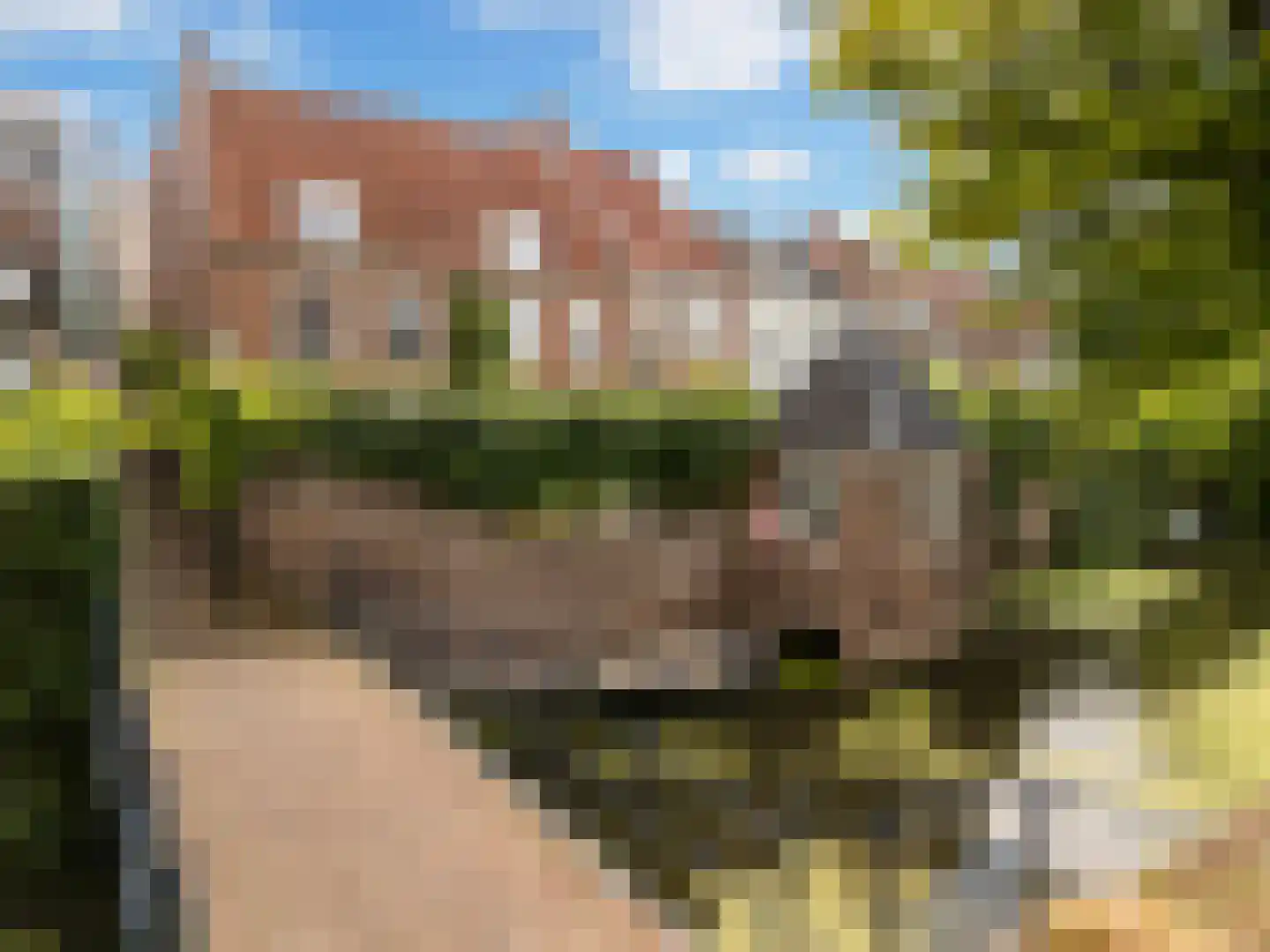 Muurhuizen 177 Amersfoort thumbnail 4