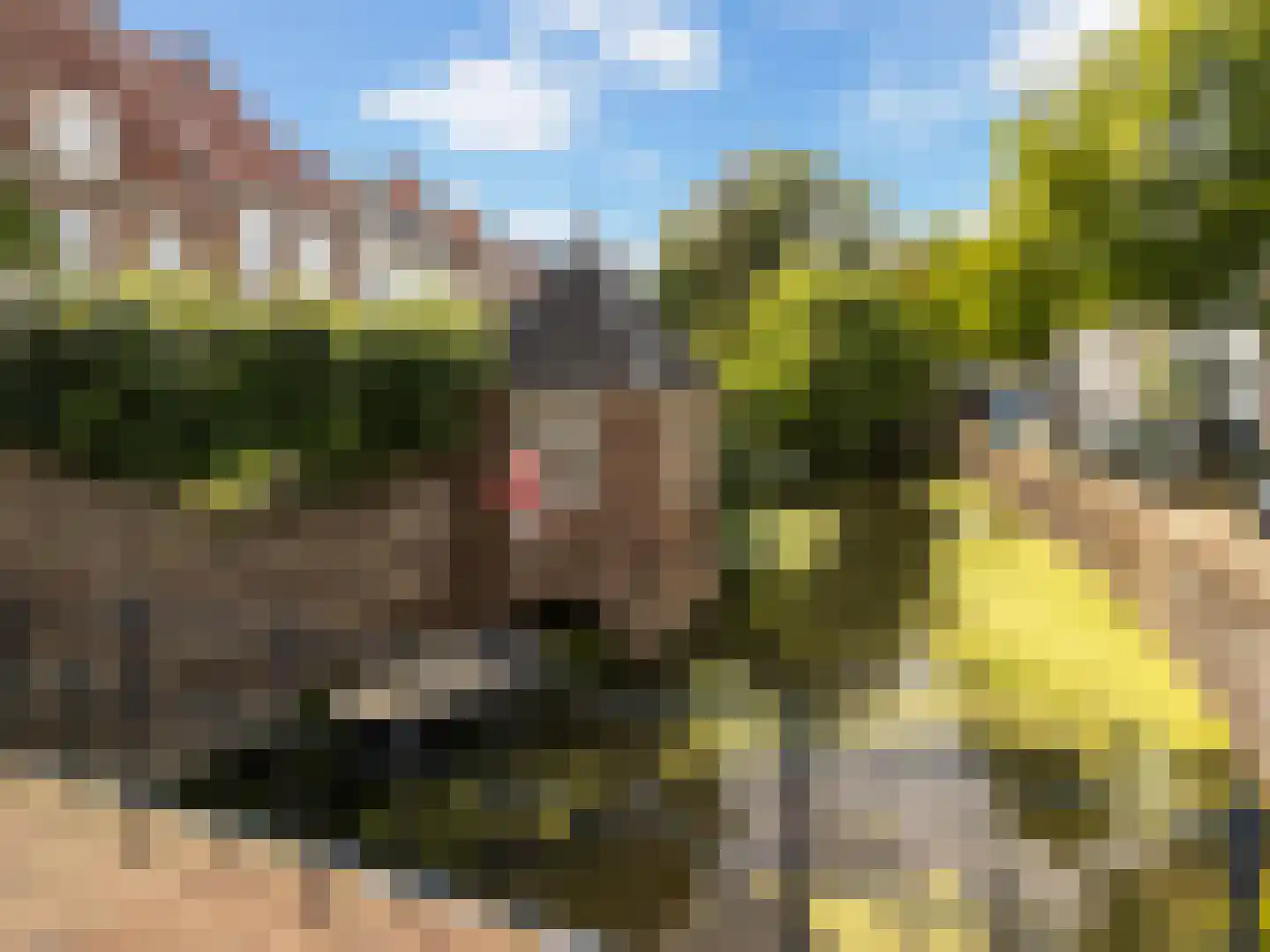 Muurhuizen 177 Amersfoort thumbnail 51