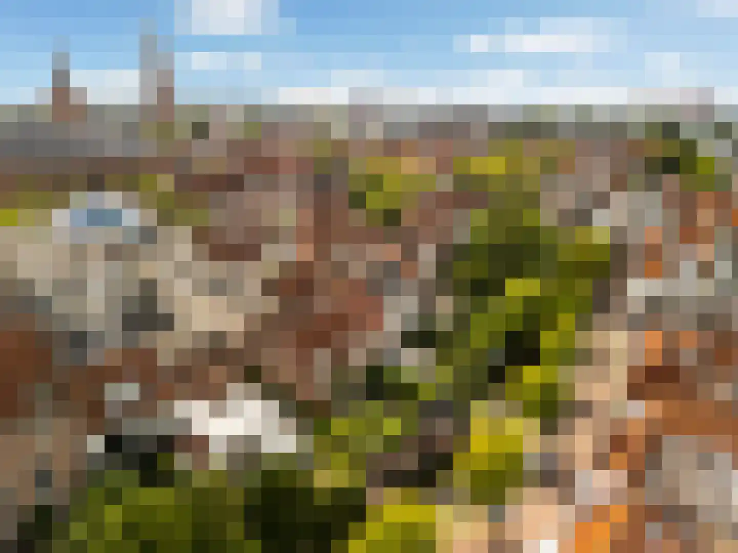 Muurhuizen 177 Amersfoort thumbnail 76