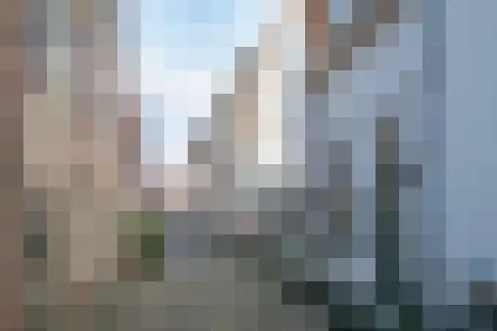 Muurhuizen 209 A Amersfoort thumbnail 28