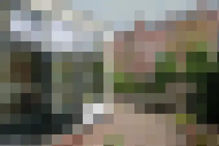 Muurhuizen 37 Amersfoort thumbnail 14