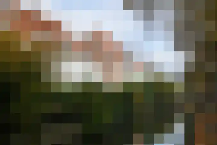Muurhuizen 37 Amersfoort thumbnail 39