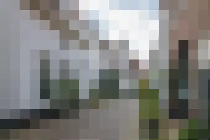 Muurhuizen 37 Amersfoort thumbnail 4