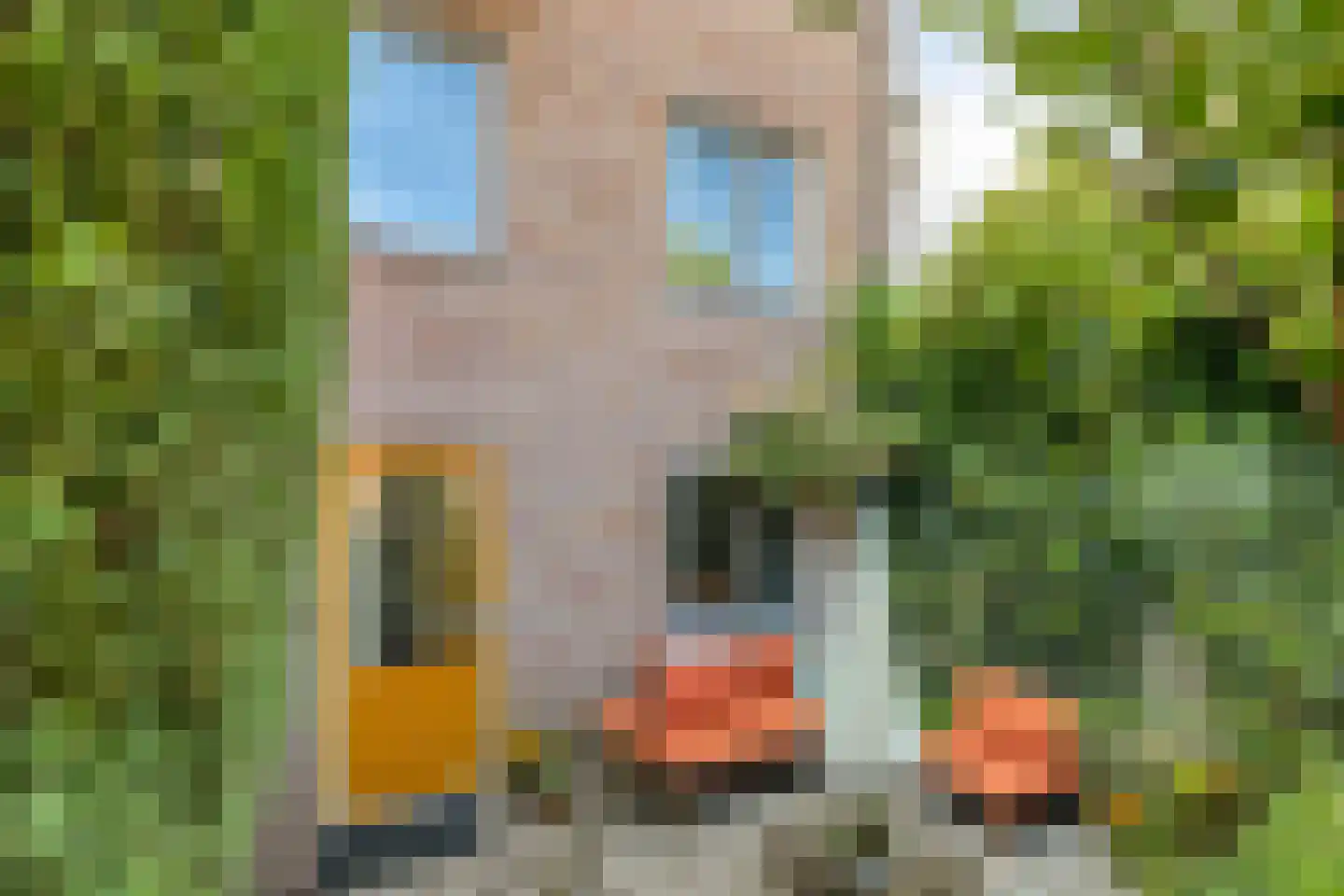 Muurhuizen 43 A Amersfoort thumbnail 23