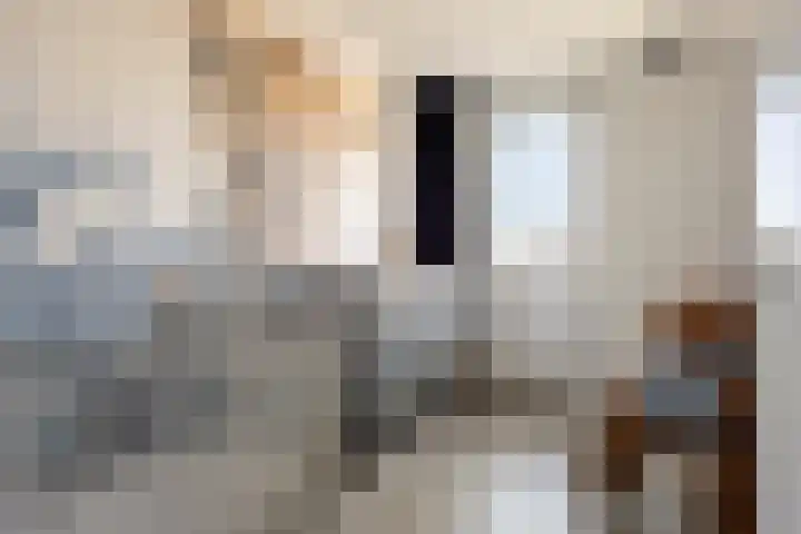 Muurkaspad 6 Utrecht thumbnail 24