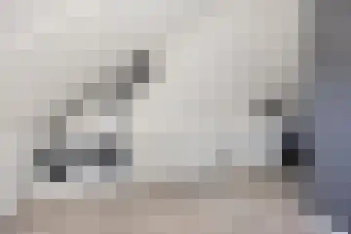 Muurkaspad 6 Utrecht thumbnail 32