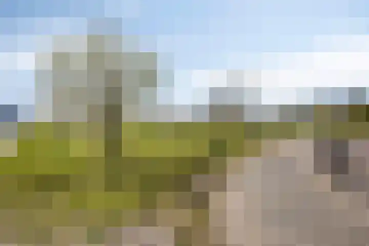 Muurkaspad 6 Utrecht thumbnail 46