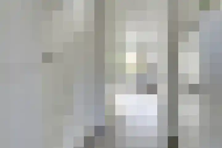 Muurkasstraat 5 Utrecht thumbnail 13