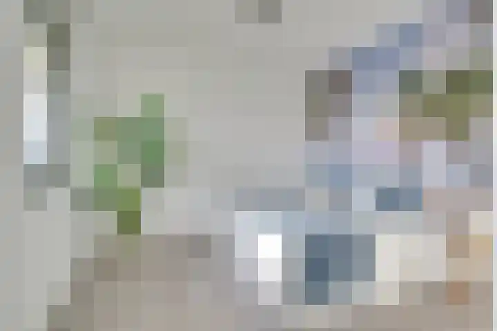Muurkasstraat 5 Utrecht thumbnail 17