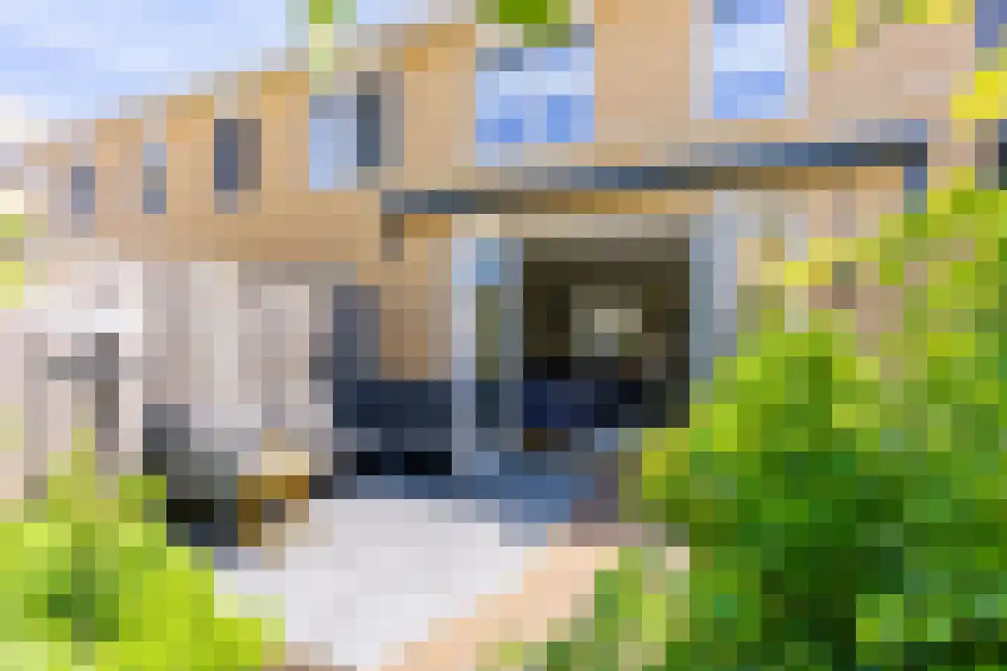 Muurkasstraat 8 Utrecht thumbnail 43