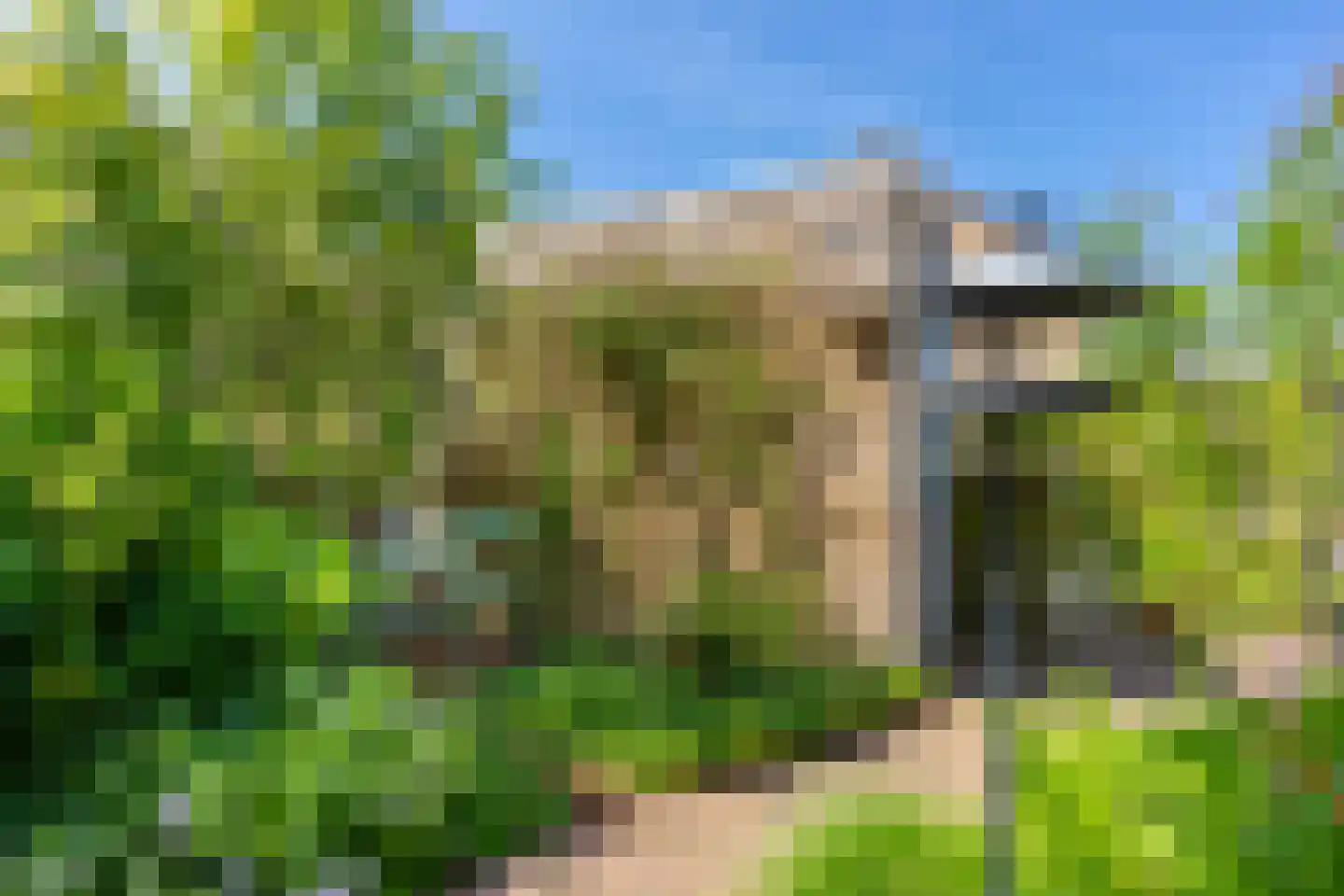 Muurkasstraat 8 Utrecht thumbnail 52