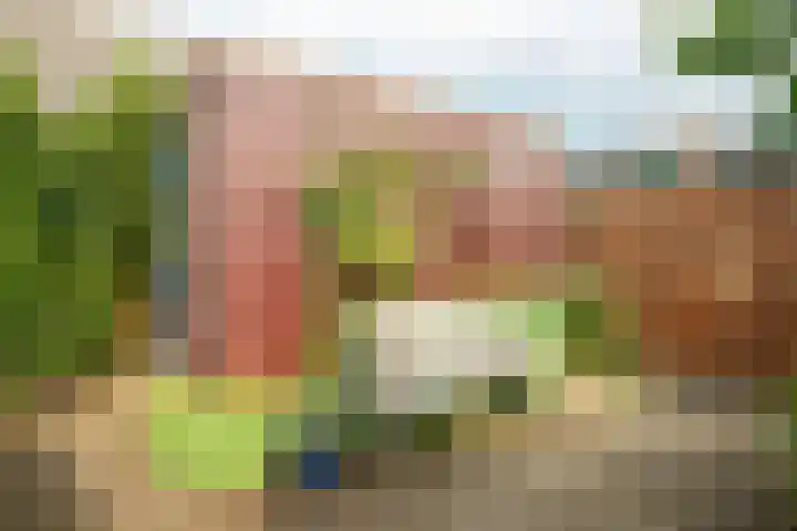 Muurkruid 1 De Meern thumbnail 27