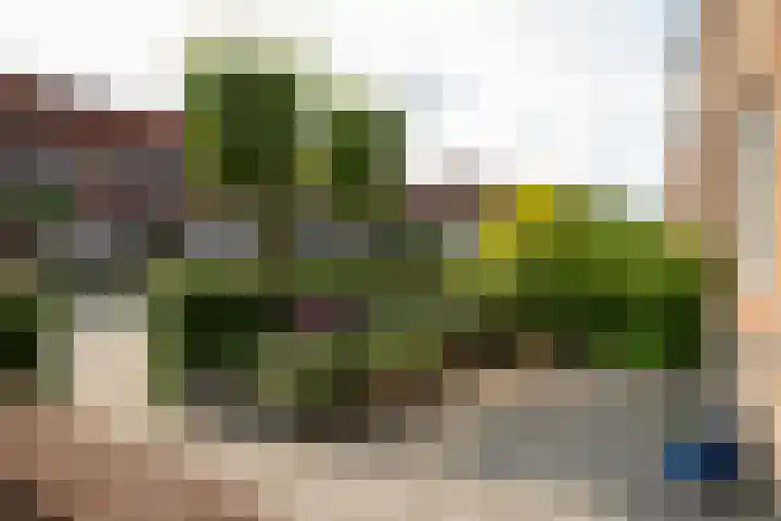 Muurkruid 1 De Meern thumbnail 29