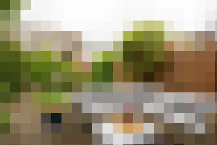 Muurkruid 1 De Meern foto 3