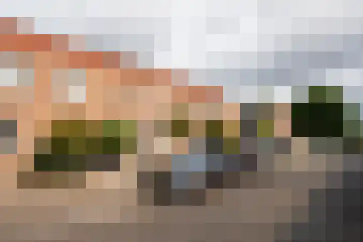 Muurkruid 1 De Meern thumbnail 30