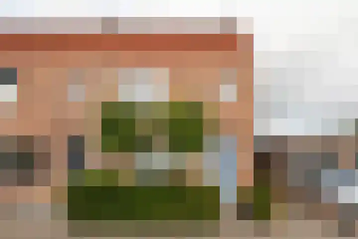 Muurkruid 1 De Meern thumbnail 37