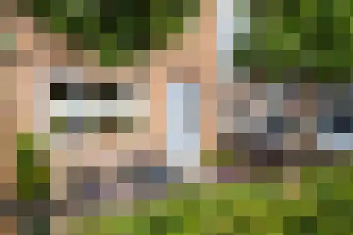 Muurkruid 1 De Meern thumbnail 4
