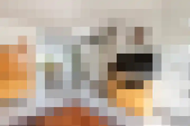 Muurkruid 1 De Meern thumbnail 9