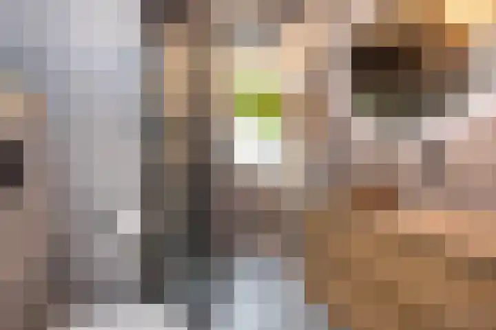 Muurkruid 22 De Meern thumbnail 23
