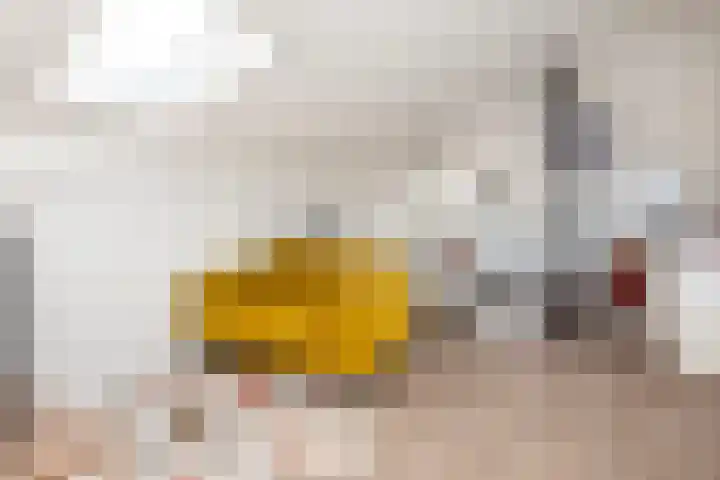 Muurkruid 22 De Meern thumbnail 27