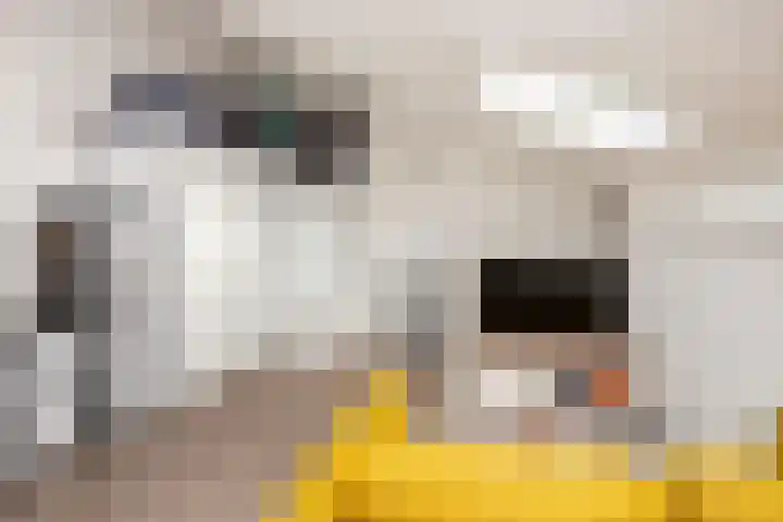 Muurkruid 22 De Meern thumbnail 29