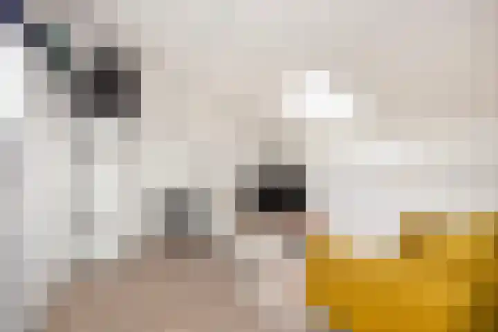 Muurkruid 22 De Meern thumbnail 30