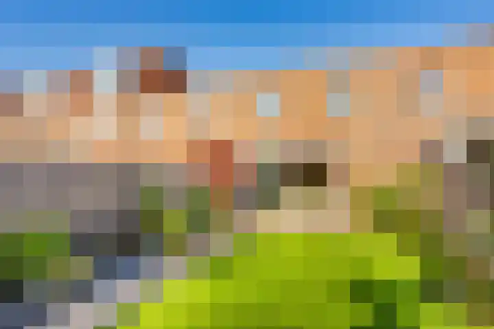 Muurkruid 22 De Meern thumbnail 31