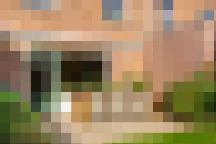 Muurkruid 22 De Meern thumbnail 32