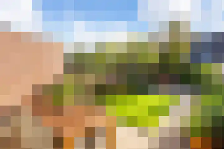 Muurkruid 22 De Meern thumbnail 33