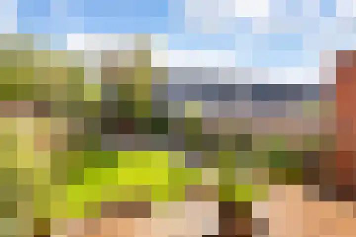 Muurkruid 22 De Meern thumbnail 34