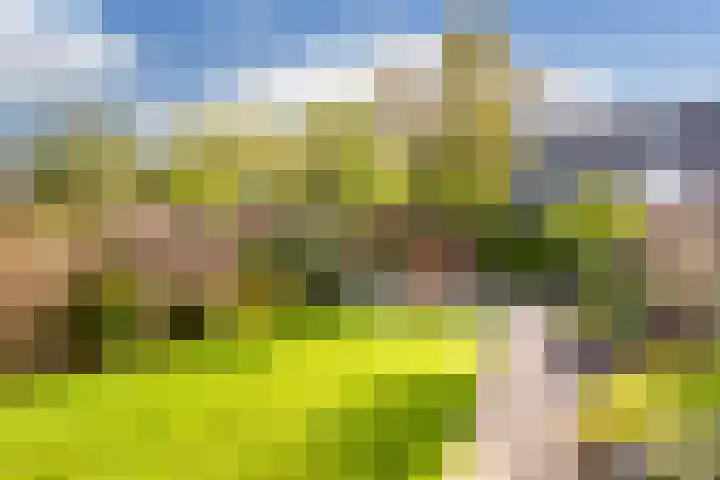 Muurkruid 22 De Meern thumbnail 35