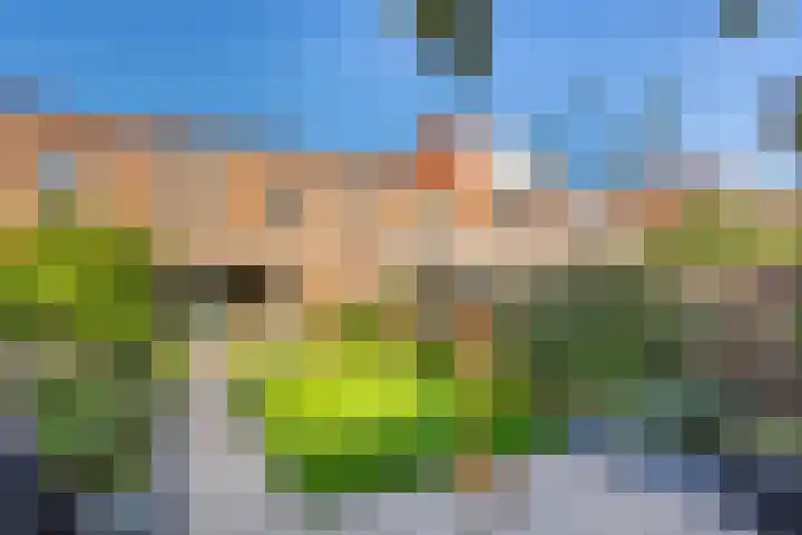 Muurkruid 22 De Meern thumbnail 37