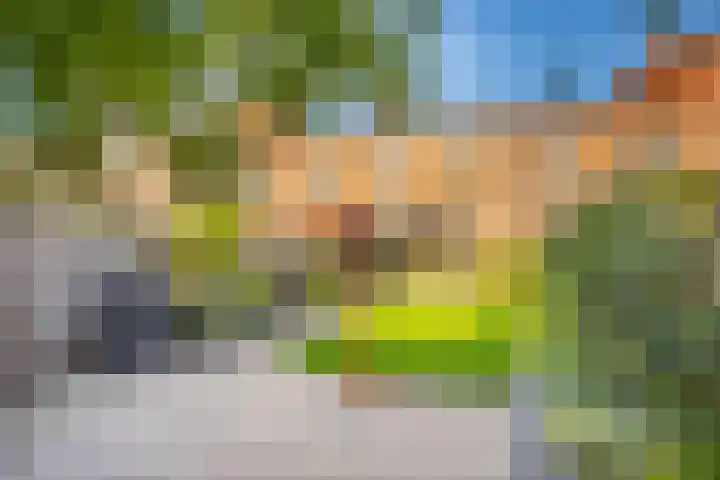 Muurkruid 22 De Meern thumbnail 38