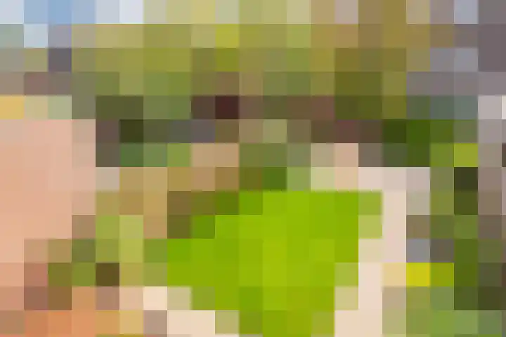 Muurkruid 22 De Meern thumbnail 39
