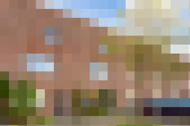 Muurkruid 22 De Meern thumbnail 41