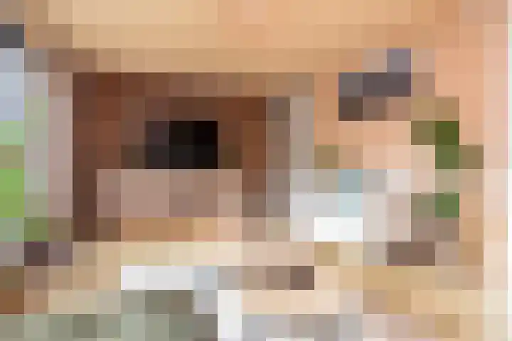 Muurkruid 22 De Meern thumbnail 5