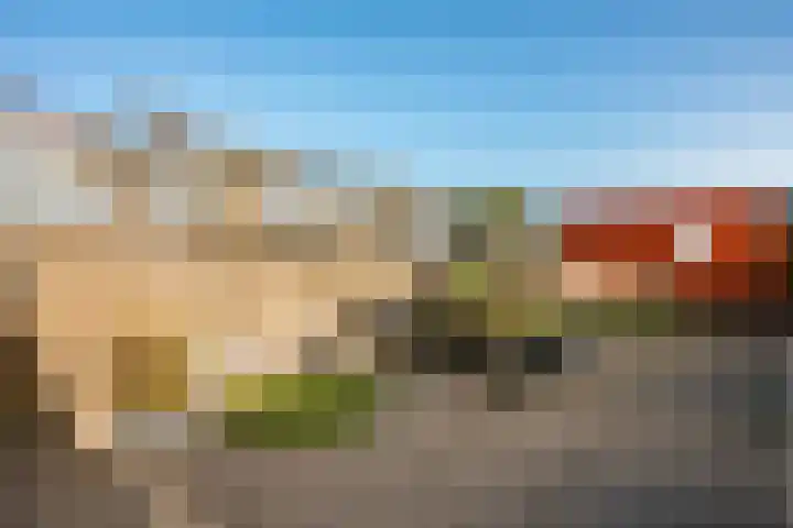 Muurkruid 4 De Meern thumbnail 15