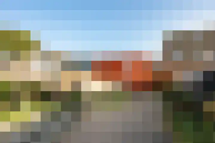 Muurkruid 4 De Meern thumbnail 16