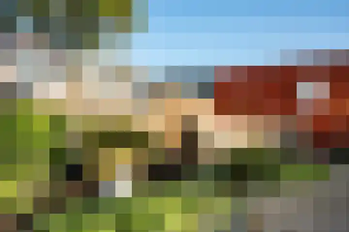 Muurkruid 4 De Meern thumbnail 17