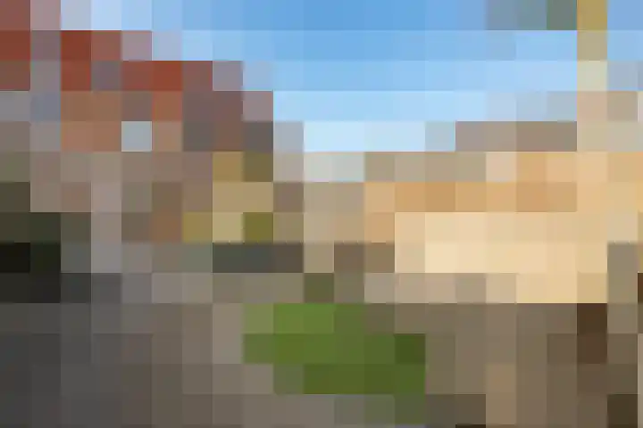 Muurkruid 4 De Meern thumbnail 18