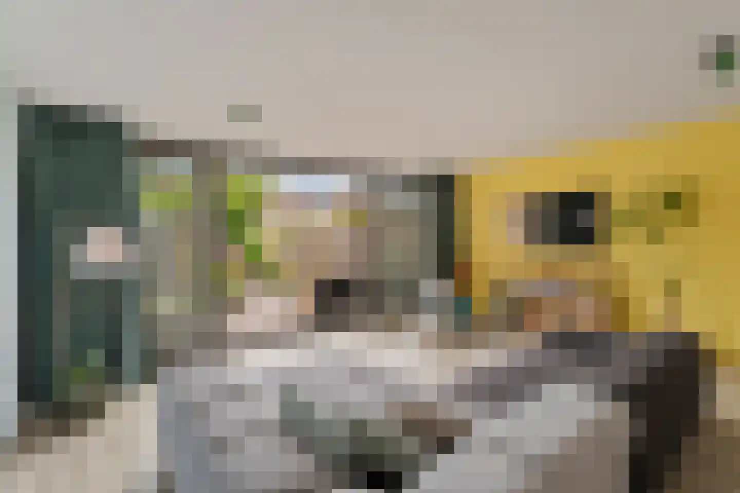 Muurmos 18 Rotterdam thumbnail 10