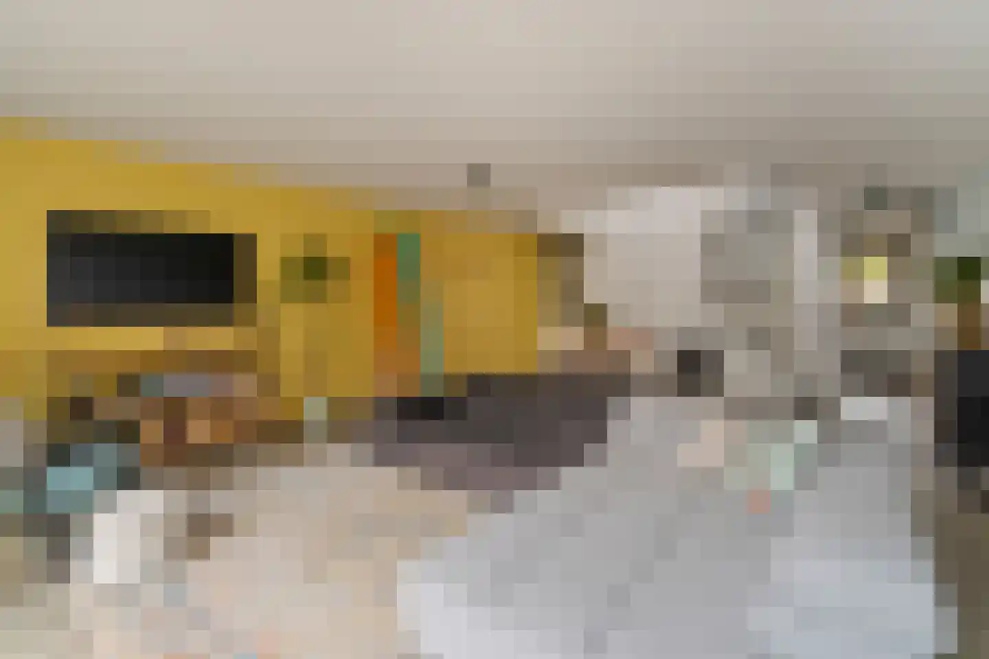 Muurmos 18 Rotterdam thumbnail 11