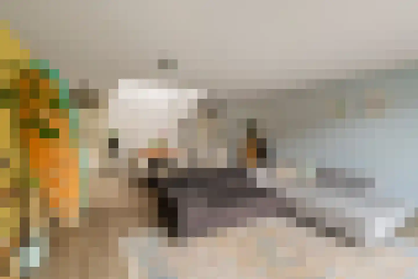 Muurmos 18 Rotterdam thumbnail 12