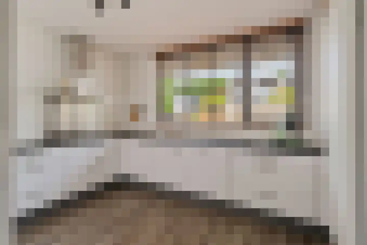 Muurmos 18 Rotterdam thumbnail 14
