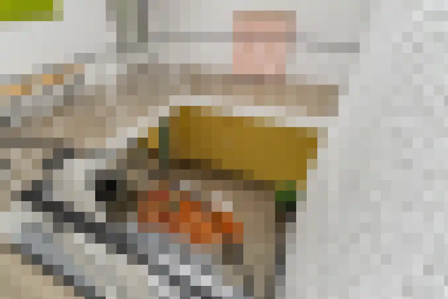 Muurmos 18 Rotterdam thumbnail 17