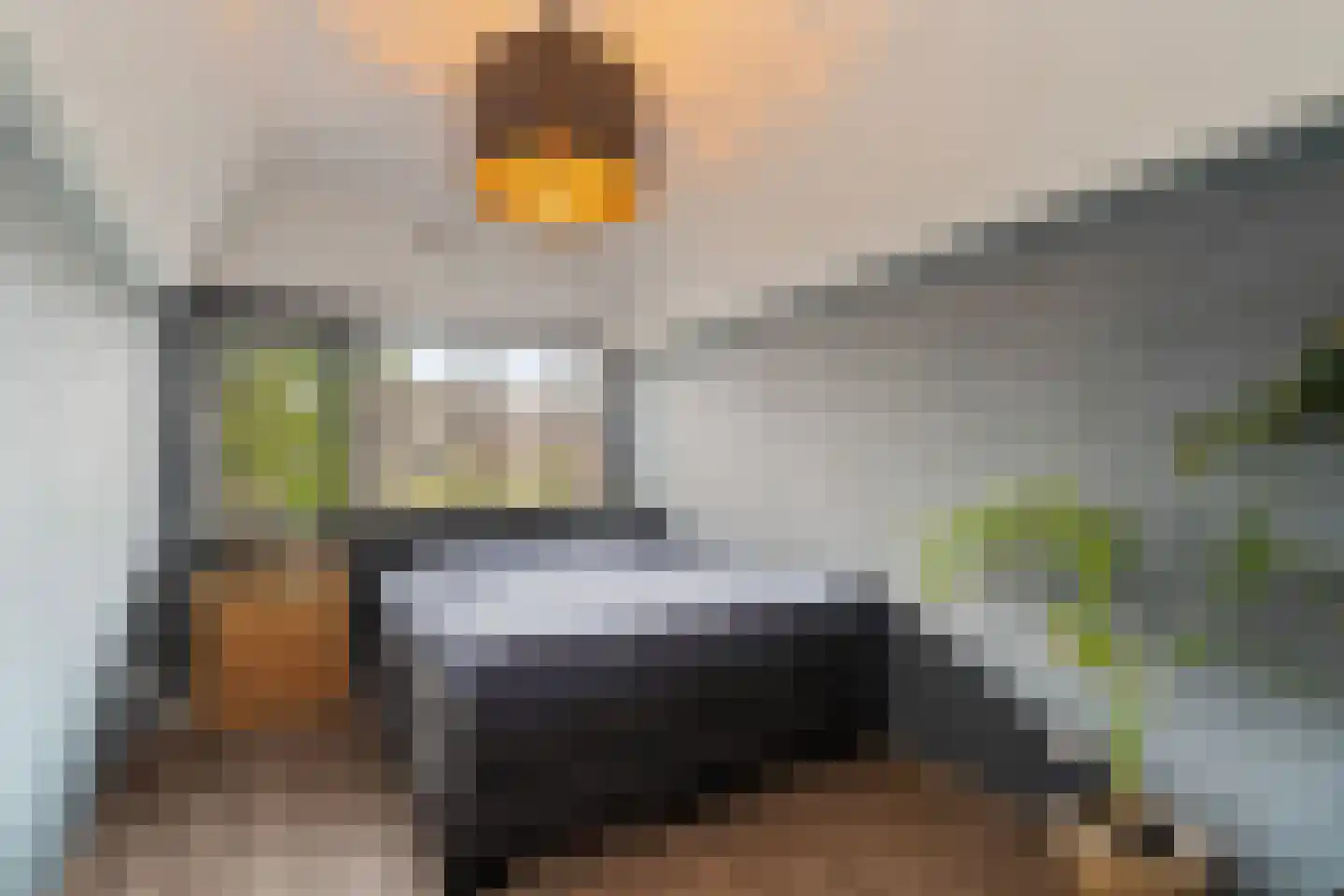 Muurmos 18 Rotterdam thumbnail 19