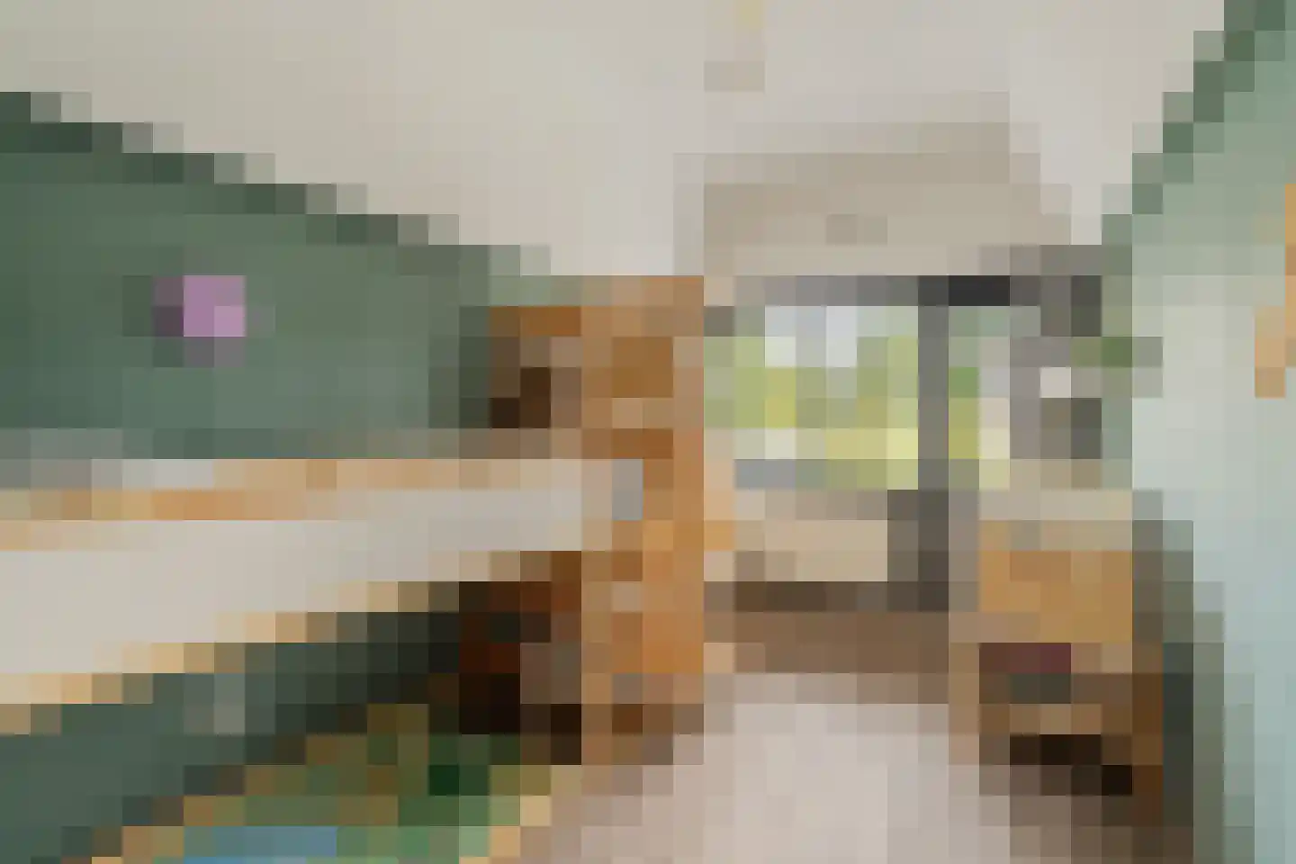 Muurmos 18 Rotterdam thumbnail 21