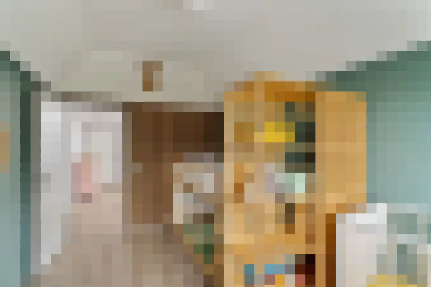 Muurmos 18 Rotterdam thumbnail 22