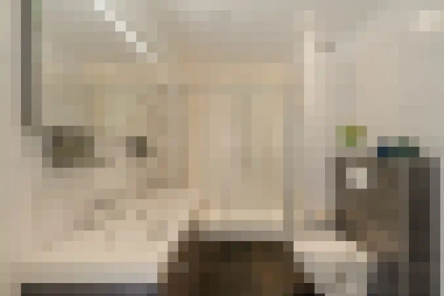 Muurmos 18 Rotterdam thumbnail 28