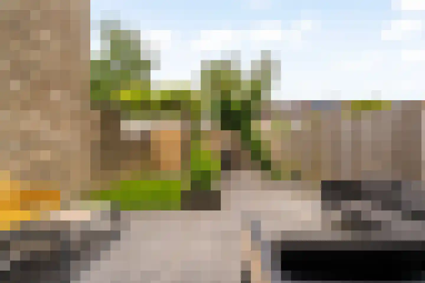 Muurmos 18 Rotterdam thumbnail 31